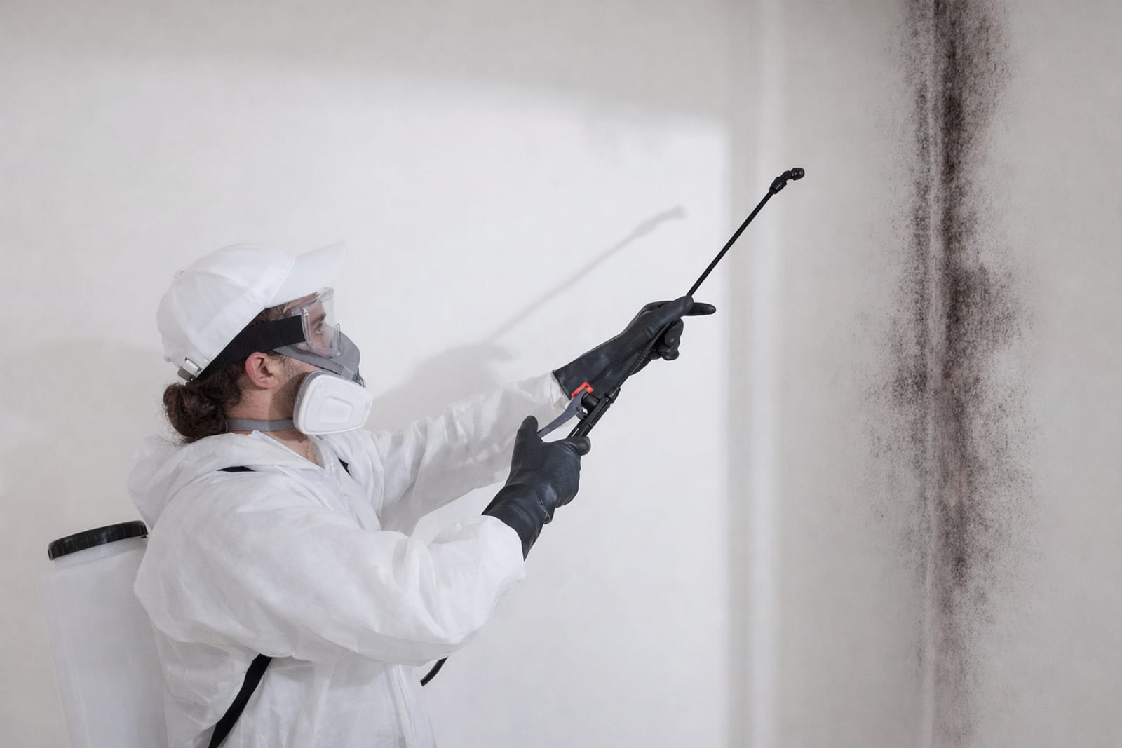 Black mold growth on drywall surface in Minneapolis home before professional removal