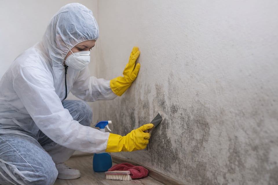Mold remediation specialists at work